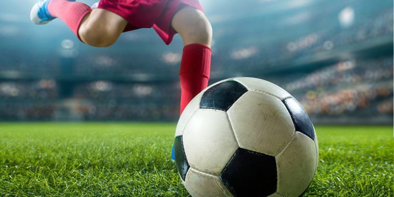 Tổng hợp các hình thức nổi bật, được đông đảo hội viên lựa chọn